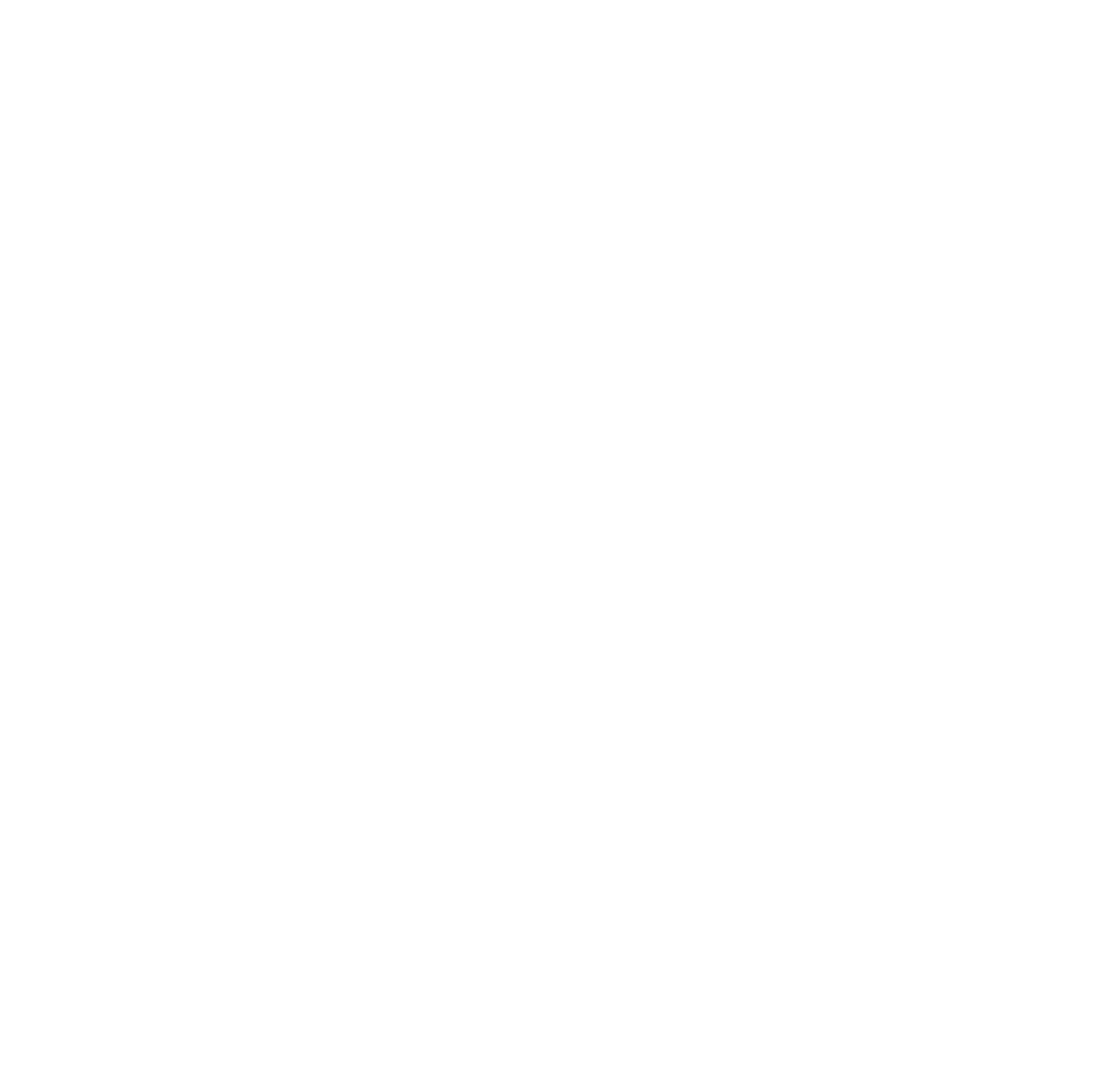 pinselpony